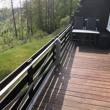 Fewo Nartura: Modern - Idyllisch - Stilvoll - Ruhig Sankt Andreasberg Exteriér fotografie