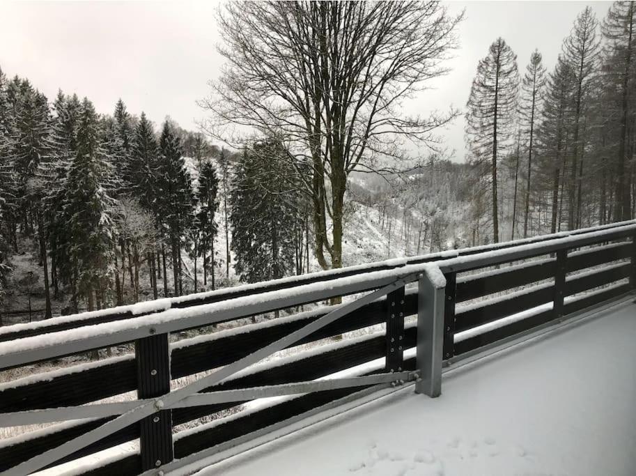 Fewo Nartura: Modern - Idyllisch - Stilvoll - Ruhig Sankt Andreasberg Exteriér fotografie
